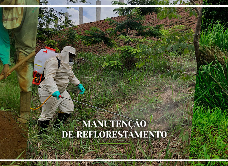 manutencao-reflorestamento